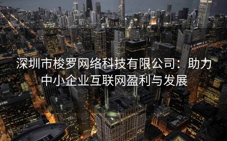 深圳市梭罗网络科技有限公司：助力中小企业互联网盈利与发展