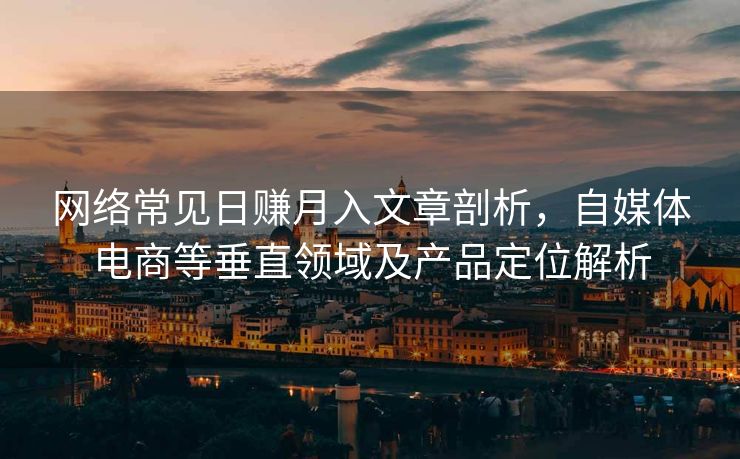 网络常见日赚月入文章剖析，自媒体电商等垂直领域及产品定位解析