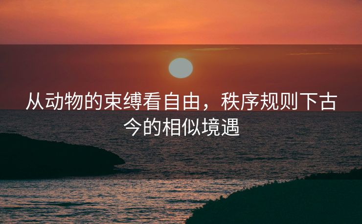 从动物的束缚看自由，秩序规则下古今的相似境遇