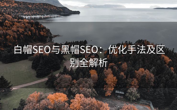 白帽SEO与黑帽SEO：优化手法及区别全解析