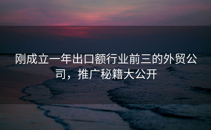 刚成立一年出口额行业前三的外贸公司，推广秘籍大公开