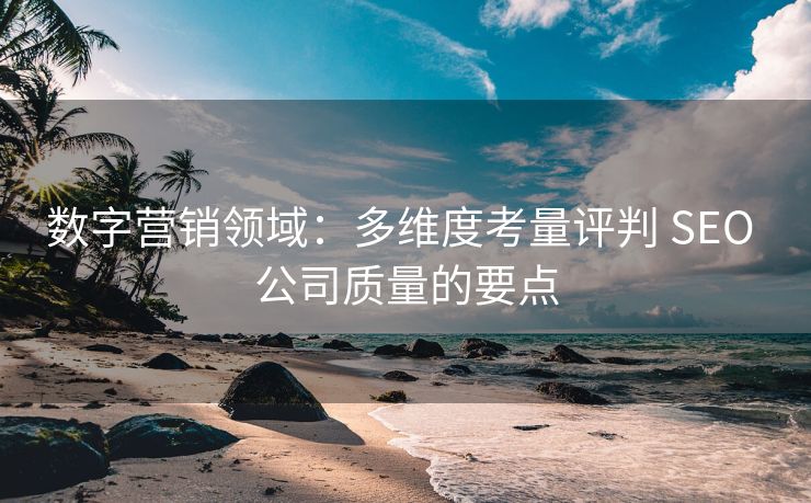 数字营销领域：多维度考量评判 SEO 公司质量的要点