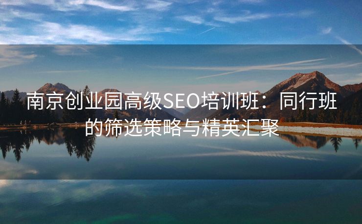 南京创业园高级SEO培训班：同行班的筛选策略与精英汇聚