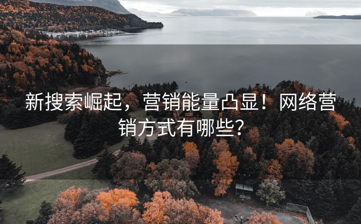 新搜索崛起，营销能量凸显！网络营销方式有哪些？