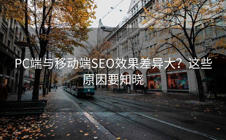 PC端与移动端SEO效果差异大？这些原因要知晓