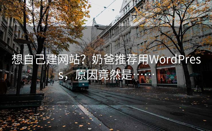 想自己建网站？奶爸推荐用WordPress，原因竟然是……