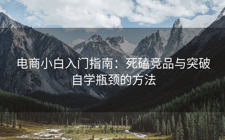 电商小白入门指南：死磕竞品与突破自学瓶颈的方法