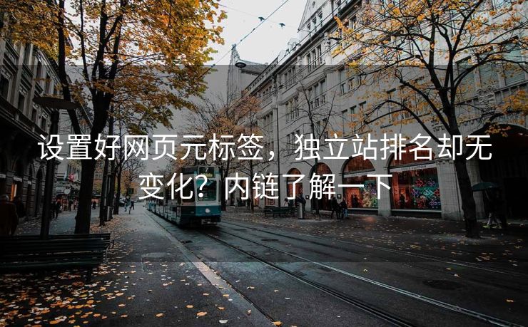 设置好网页元标签，独立站排名却无变化？内链了解一下