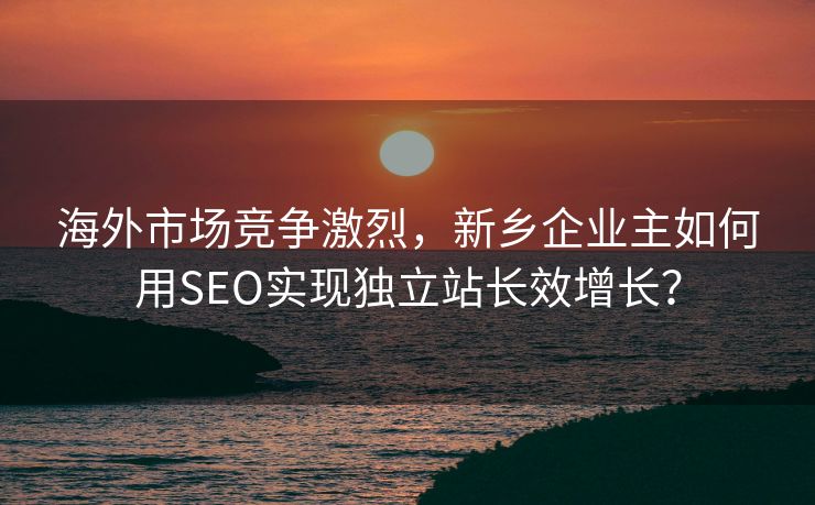 海外市场竞争激烈，新乡企业主如何用SEO实现独立站长效增长？