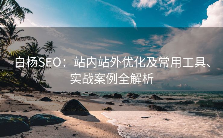 白杨SEO：站内站外优化及常用工具、实战案例全解析