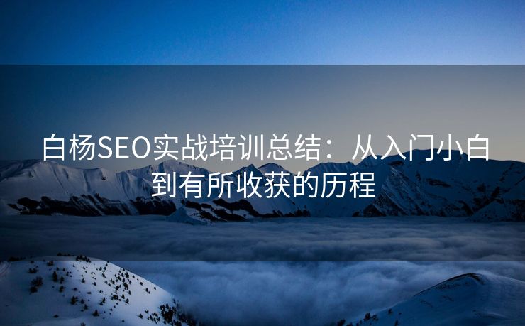 白杨SEO实战培训总结：从入门小白到有所收获的历程