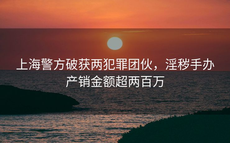 上海警方破获两犯罪团伙，淫秽手办产销金额超两百万