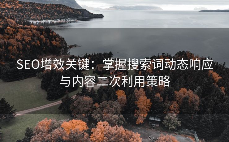 SEO增效关键：掌握搜索词动态响应与内容二次利用策略