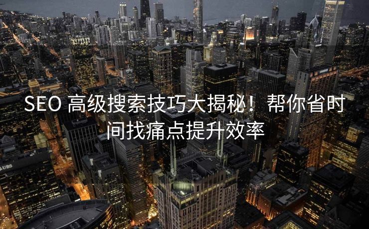 SEO 高级搜索技巧大揭秘！帮你省时间找痛点提升效率