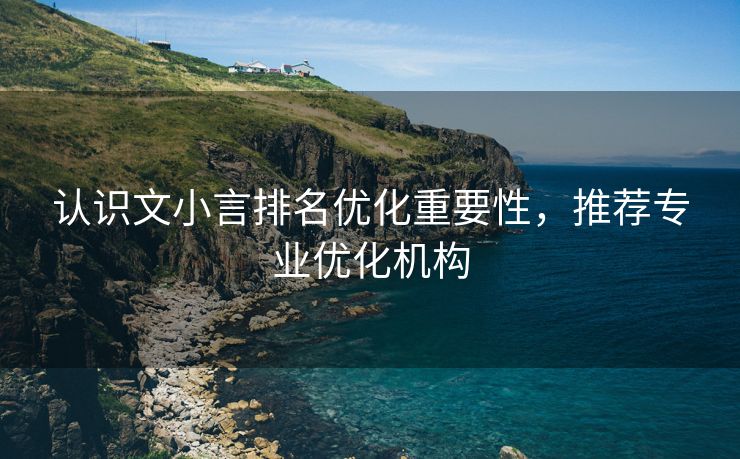 认识文小言排名优化重要性，推荐专业优化机构