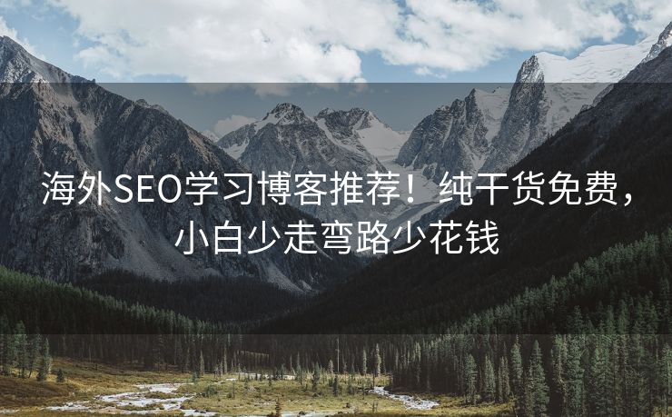 海外SEO学习博客推荐！纯干货免费，小白少走弯路少花钱