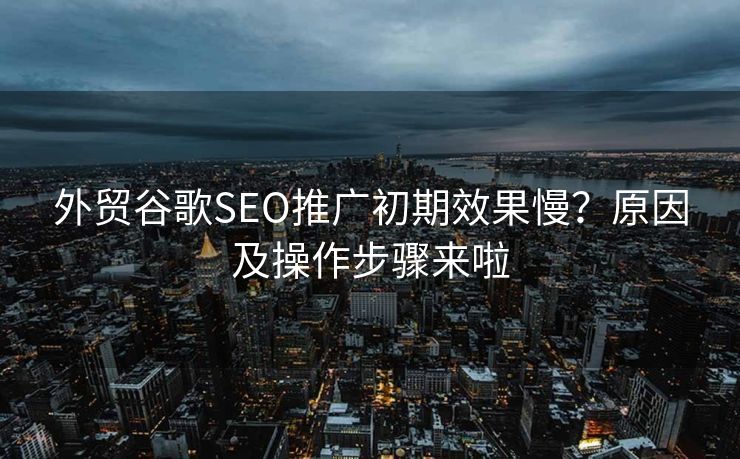 外贸谷歌SEO推广初期效果慢？原因及操作步骤来啦
