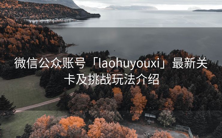 微信公众账号「laohuyouxi」最新关卡及挑战玩法介绍