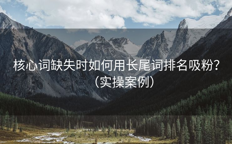 核心词缺失时如何用长尾词排名吸粉？（实操案例）