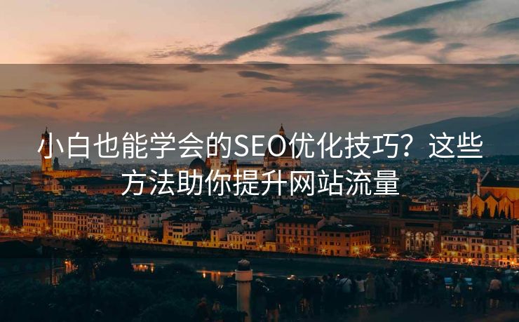 小白也能学会的SEO优化技巧？这些方法助你提升网站流量