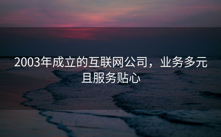 2003年成立的互联网公司，业务多元且服务贴心